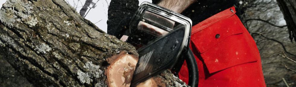 man cutting tree with chainsaw 2