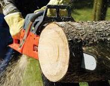 man cutting tree with chainsaw