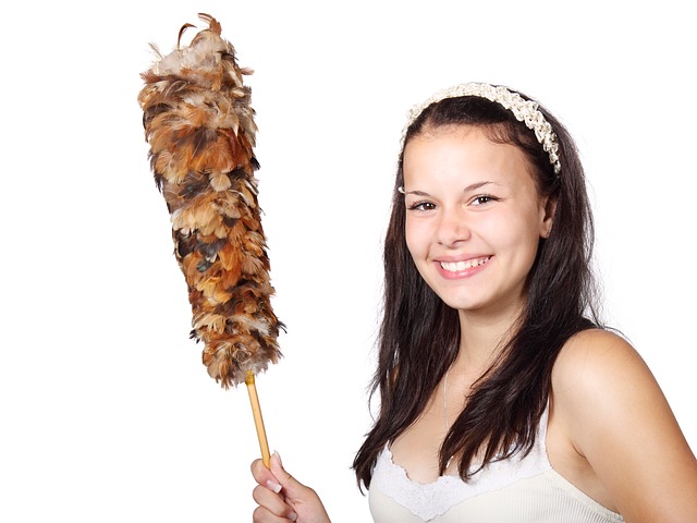 cleaning service