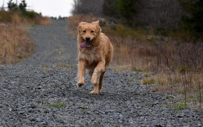 running 